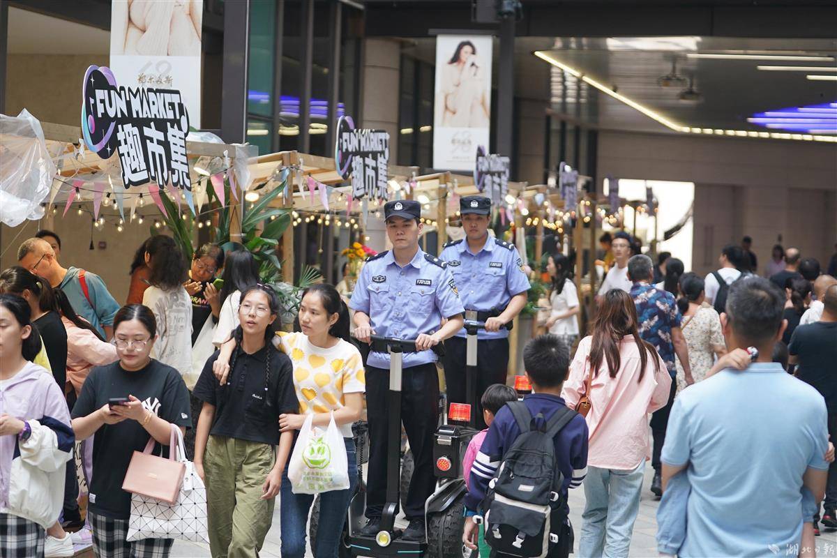 查澳门天天马全年资料